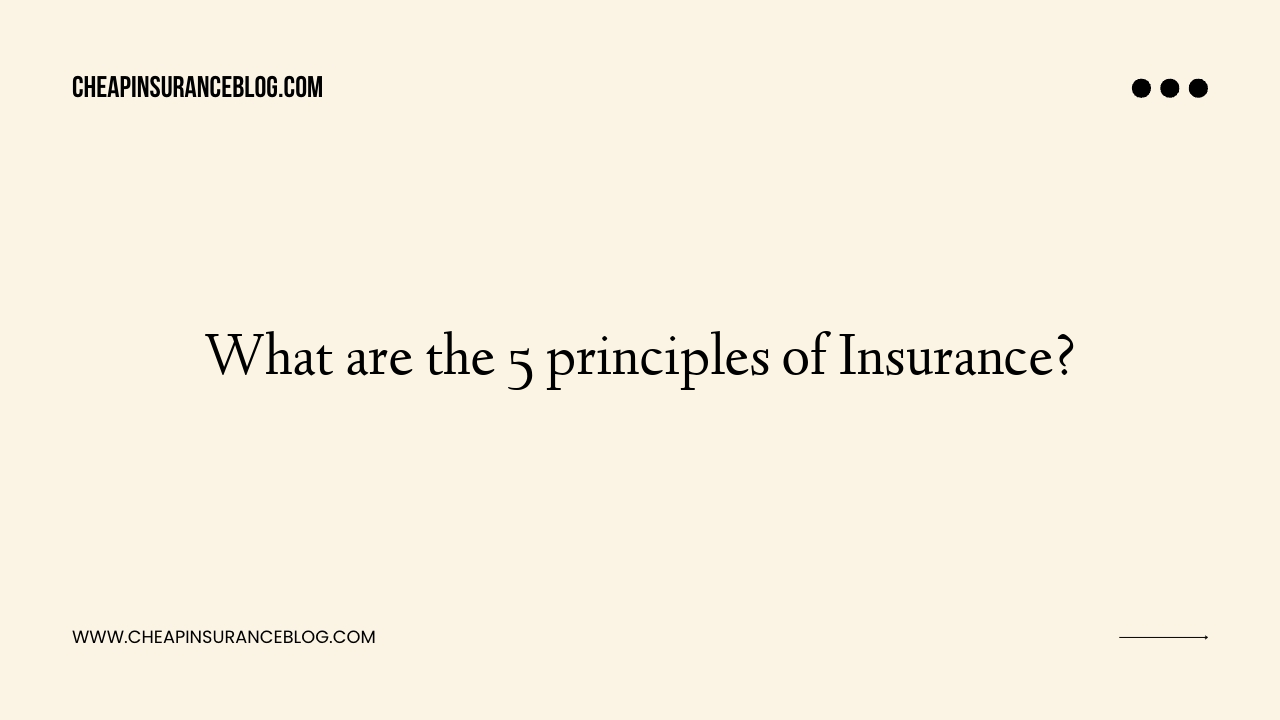 What are the 5 principles of Insurance?