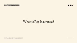 What is Pet Insurance?